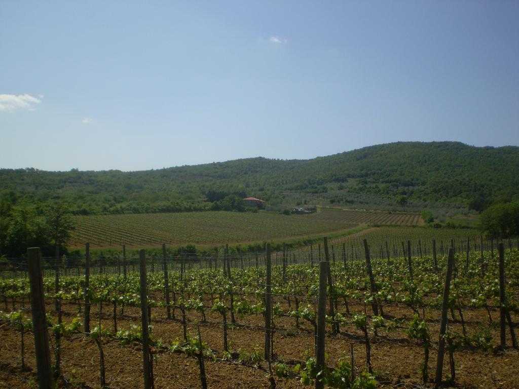 Agriturismo La Cella Arezzo Exterior photo